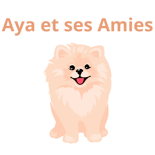 Aya et ses amies